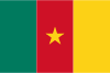 Live tv-kanaler fra  Cameroun 