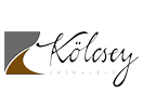 Se Kölcsey TV live