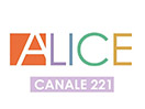 Se Alice TV live