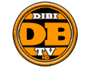 Se DiBi TV live