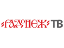 Se Radonezh TV live