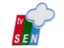 Se TV Sen live