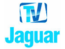 Se TV Jaguar live