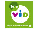 Se Tele Vid live