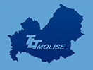Se TLT Molise live