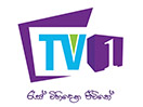 Se TV 1 live