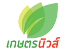 Se Kaset News Channel live