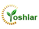 Se TVR Yoshlar Telekanali live